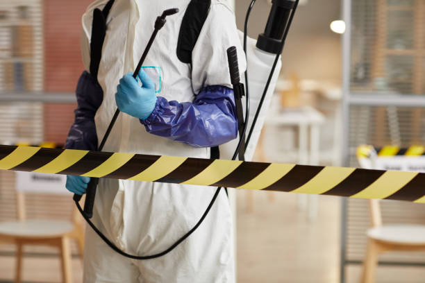 Professional Sewage Cleanup technician working in Moline, MI